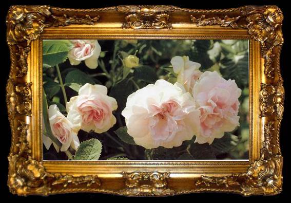 framed  unknow artist Still life floral, all kinds of reality flowers oil painting  379, ta009-2